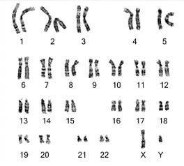 我们要抵制胡作非为的科学家