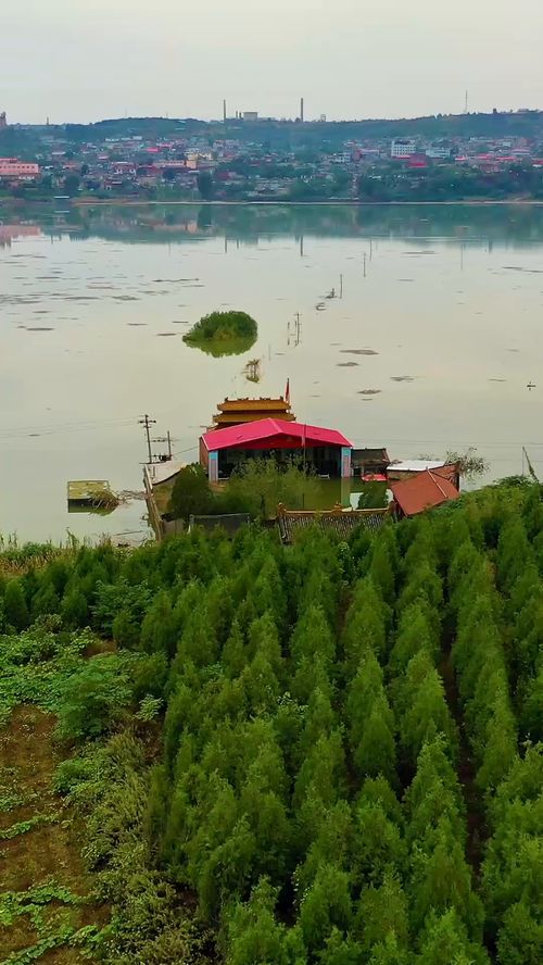 大水淹了龙王庙打三个数