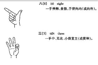 8年3班我爱你用手语怎么做 