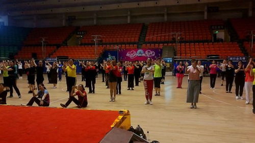 2018年湖南省排舞社会体育指导员培训班圆满落幕 