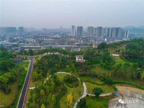 四川拟命名新一批省级森林城市,资阳入选