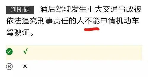 练车科目一模拟考试,只需一遍,就能轻松拿证