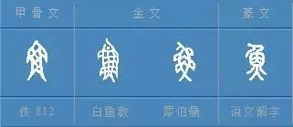 汉字说 年 丨年夜饭后,记得去妈妈的 厨房 看一看, 味道 丰富