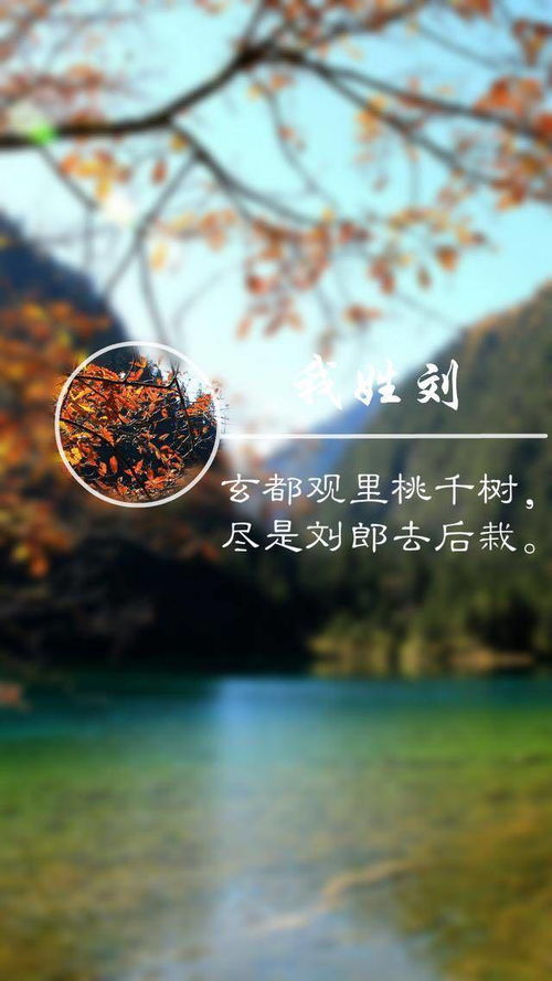 用你的名字,作诗提字姓氏壁纸,美美哒 