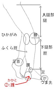 日语身体各部位图片 搜狗图片搜索