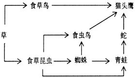 1953年.美国学者米勒等人根据原始地球环境设计了一个模拟实验.此实验说明了 A.原始地球条件和大气成分可以生成有机物小分子物质B.原始地球能形成原始生命C.由有机物可以产生原始生命 