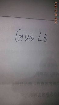 谁帮我写一下 Gui Li 这个名字,字写的好的来,发照片哦 