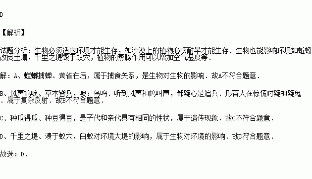 星象共鸣解释词语造句大全;卧看满天云不动揭示了什么道理？