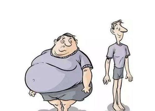 解密 胖人为什么会胖,瘦人为什么会瘦