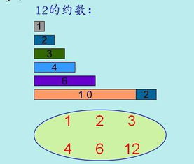 正约数是什么?