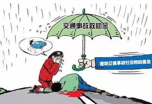 道路交通事故社会救助基金适用哪些范围