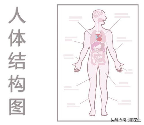 绝经后女性为什么容易出现反复尿道 阴道感染