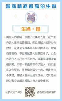 我承认自己智商高人一等，做生意也有一套，可就败在情商上面，我情商实在太低了，不想玩套路，我认输