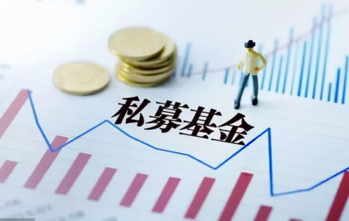 私募基金可以为被投资企业提供担保吗