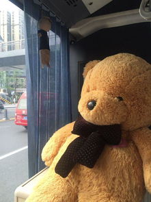 成都现最童心公交车 车内摆大型玩具熊玩偶
