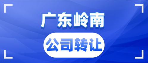 广东岭南企业集团有限公司怎么样？