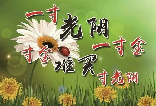 6月17日非常温馨早上好祝福语短信,很漂亮的早安祝福语图片带字