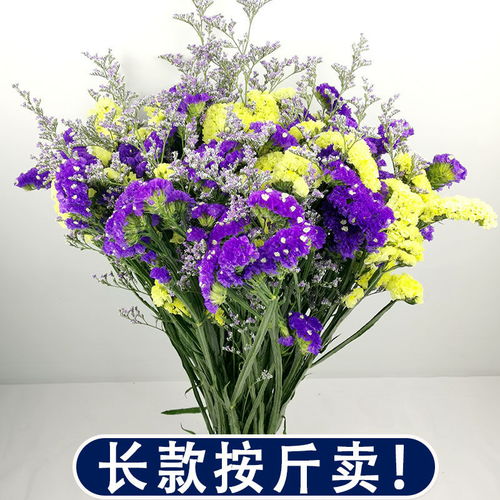 干花花束勿忘我鲜花客厅装饰家居摆设摆件插花干花真花