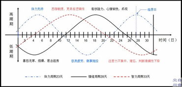 生物钟――人体生物节律科普园地(之六)