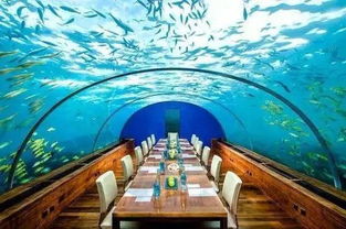 马尔代夫水下酒店游记海底世界的绝美风光
