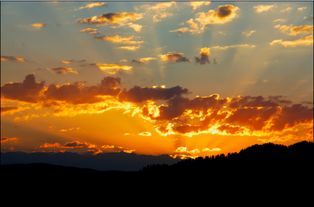 新疆那拉泉 你在远方盼日出,我在河谷等夕阳