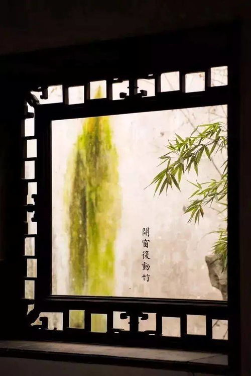 花窗,是江南建筑里最美的风景