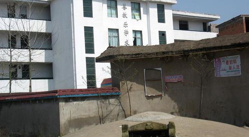 为什么说房子不能建在坟墓旁,这人可能没去过农村