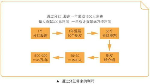 公司持有的股票可以分红的形式分配给股东吗?