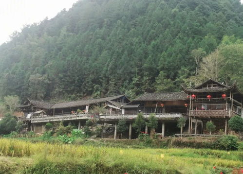 名不经传的湖北宣恩,小县城藏着大风景