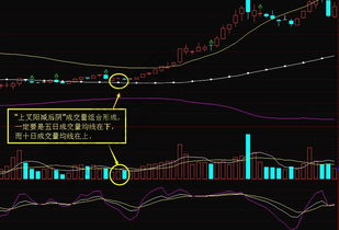 请教高手什么样的k线组合+成交量组合 第二日上涨的概率大