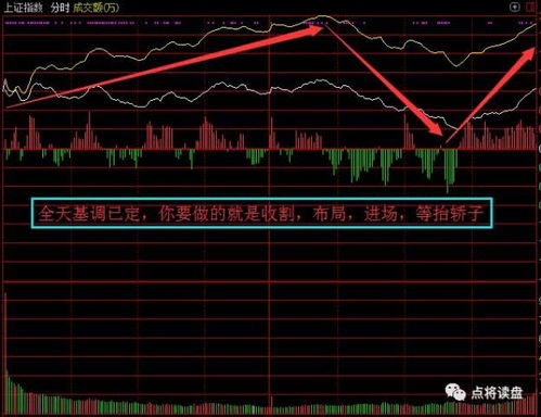 爆 确定性板块机会出现