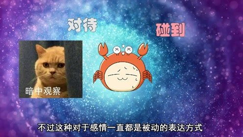 一月开始,旧爱回眸,3星座心软接受,感情终于完美复合 腾讯OM视频 腾讯网 