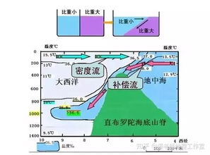 什么是洋流(什么是洋流?)