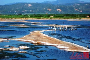 盐池旅游景点(盐池旅游景点介绍)