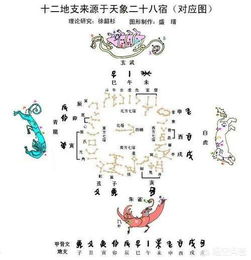 朱雀玄武青龙八卦方位 搜狗图片搜索