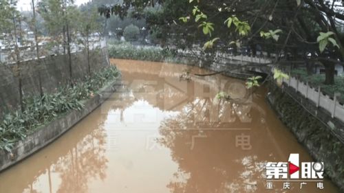 跳蹬河水突然 变脸 原是受渗漏污水影响