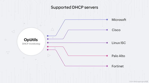 dhcp是什么上网方式(上网用dhcp还是pppoe)