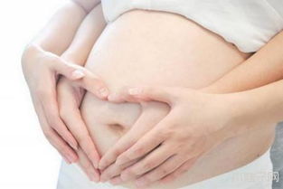 原创胎动最活跃的几个时间，你宝宝中了几个？