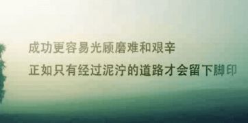 奉献英语名言爱因斯坦;人活着的意义不是享受而是奉献对应的名言？