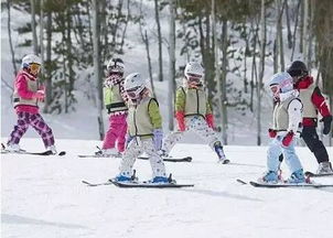 我为什么想让孩子学滑雪