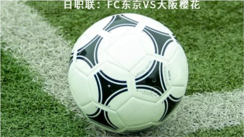 日职日本职业足球联赛(日本足球联赛直播大阪)