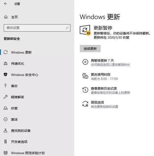 win10毕业论文病毒