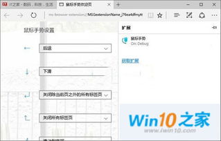 win10安装ie插件