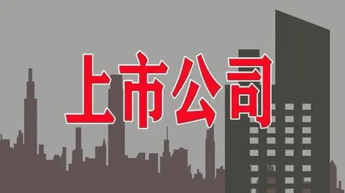 公司上市了，已经融到资金，为什么还要质押股票？