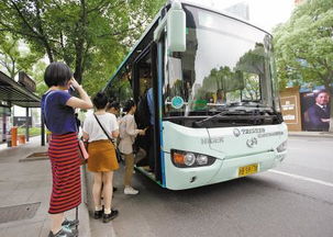 上海市江月路2600号有什么公交车到 