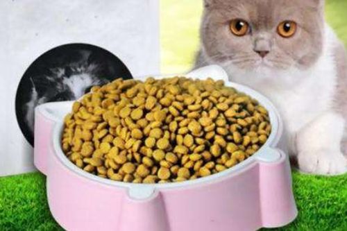 最好的猫粮是什么牌子 