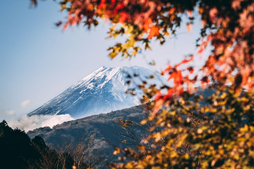 出国日本留学的条件和要求