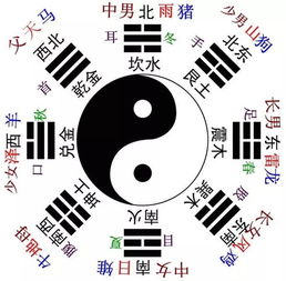 八字命理十干与阴阳 五行的关系 