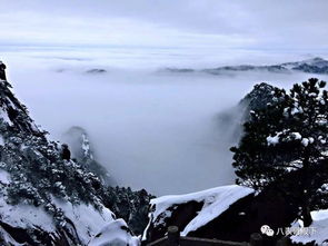 黄山 夏天和冬雪