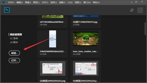 怎样将多张图片用photoshop软件排版到一张A4版面上 